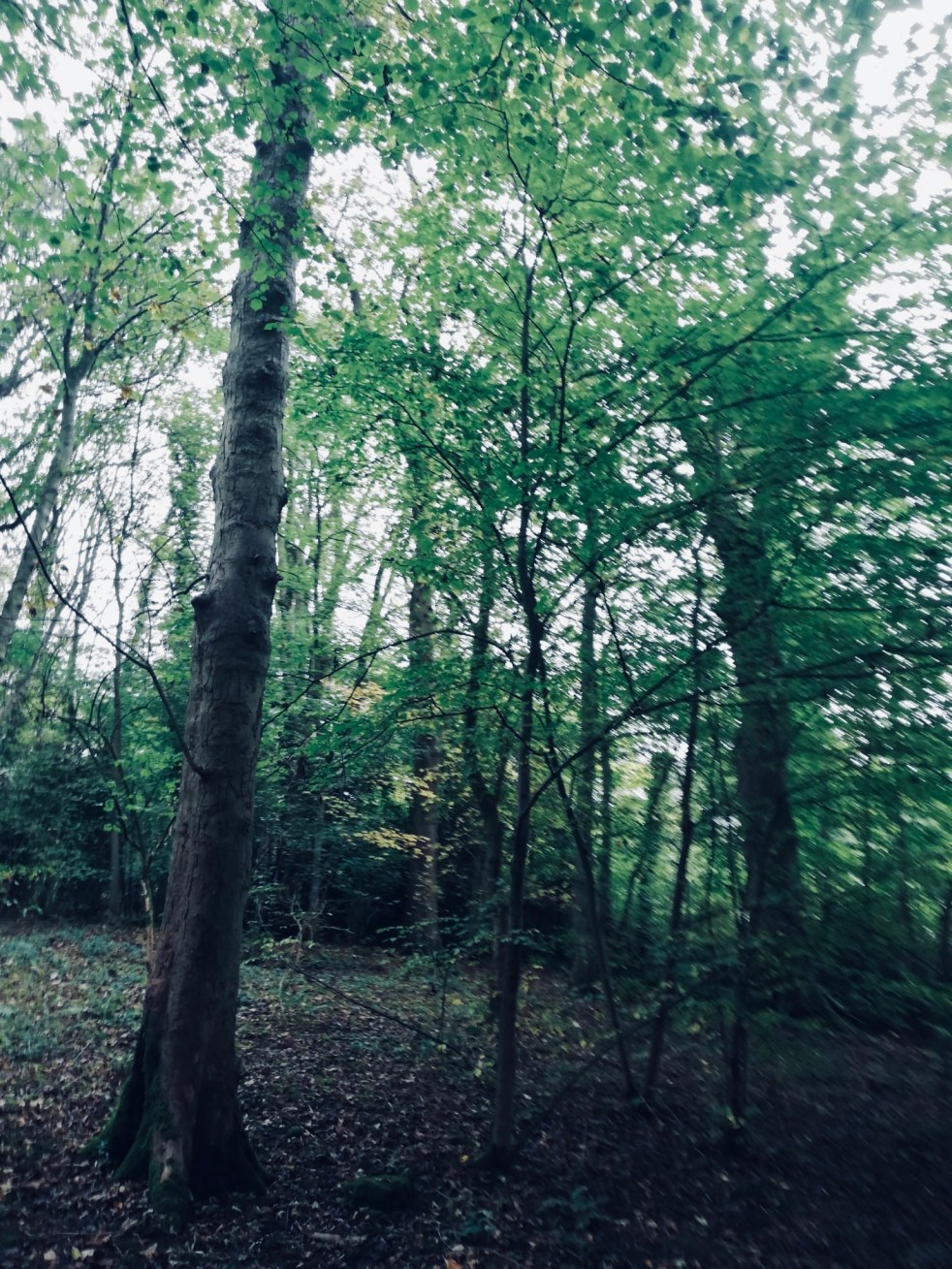 B4E8D22E-8836-400C-9A2F-B9713E5183CF