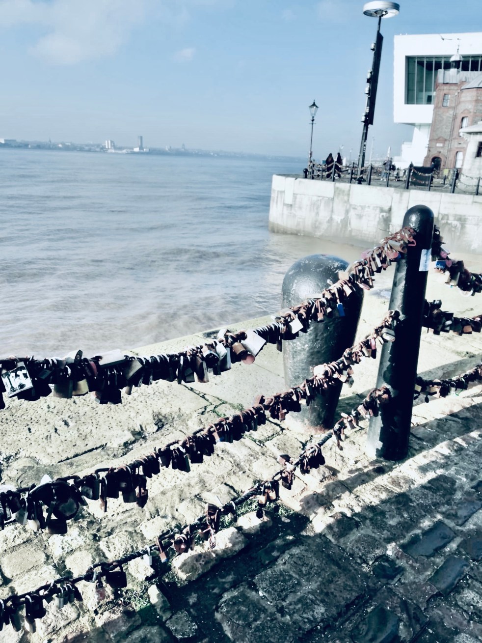 D10087E9-DF97-4784-B418-C320534BFA56